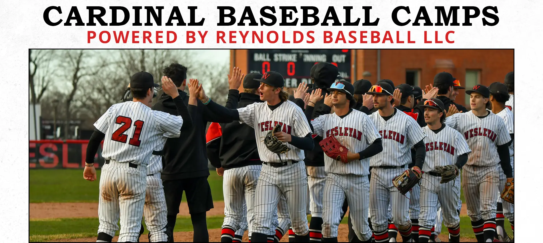 Cardinal Baseball Camps