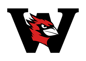 Cardinal Baseball Camps at Wesleyan University